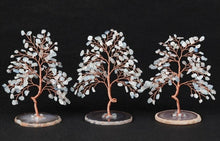 Charger l'image dans la galerie, Crystal Tree Agate Slice Base