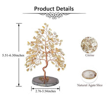 Charger l'image dans la galerie, Crystal Tree Agate Slice Base