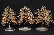 Charger l'image dans la galerie, Crystal Tree Agate Slice Base