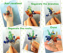 Charger l'image dans la galerie, Cute Mini Crystal Tree