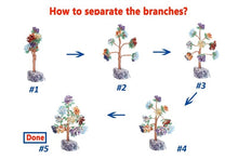 Charger l'image dans la galerie, Feng Shui Money Tree Fluorite Base