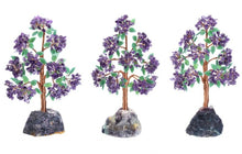 Charger l'image dans la galerie, Feng Shui Money Tree Fluorite Base