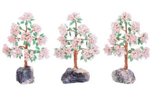 Charger l'image dans la galerie, Feng Shui Money Tree Fluorite Base